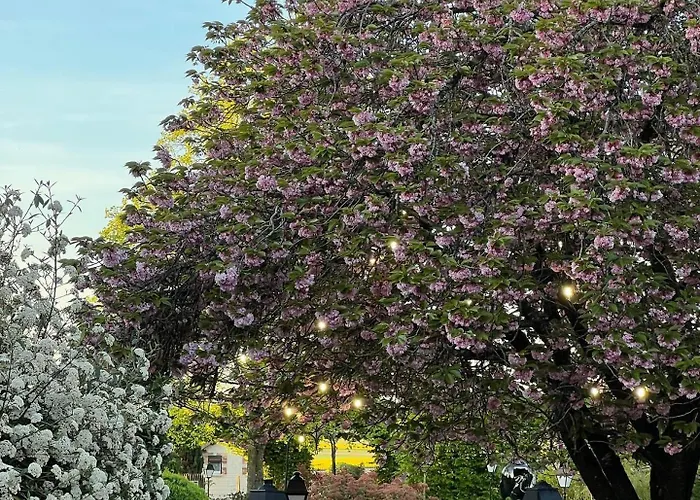 Armes De Champagne & Châlons-en-Champagne